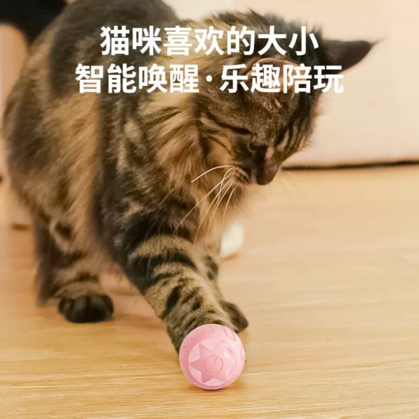 星芒電動滚滚球