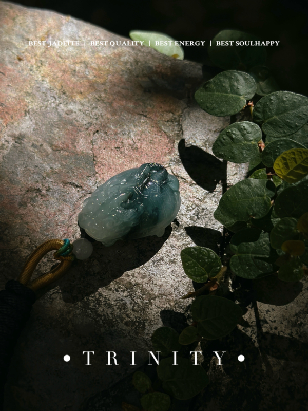 瀲青｜鎮煞玄武