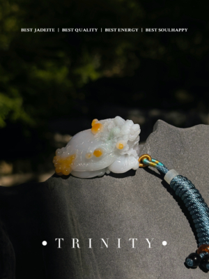 IMG_1952 金霽|鎮宅龍龜