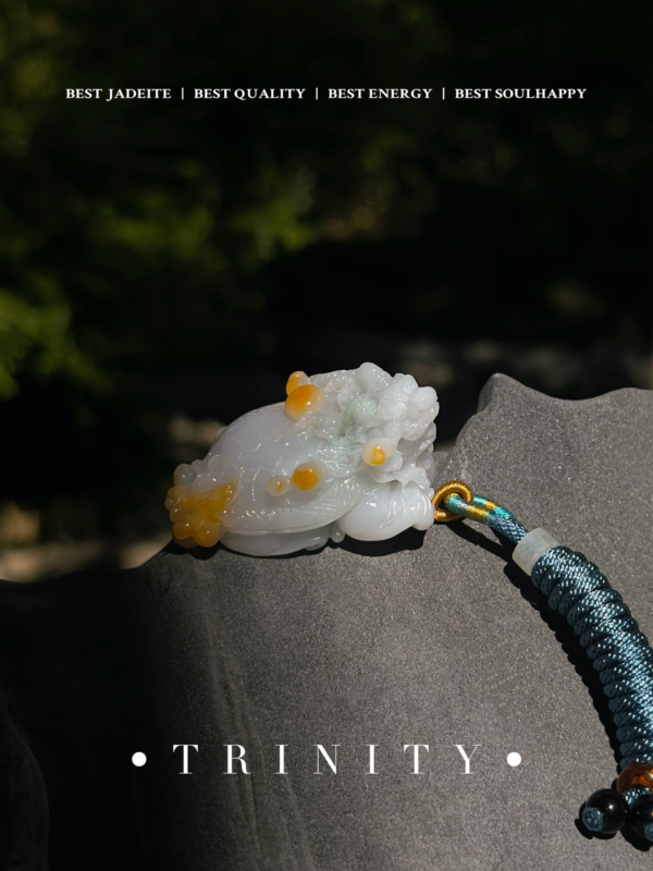 IMG_1952 金霽|鎮宅龍龜