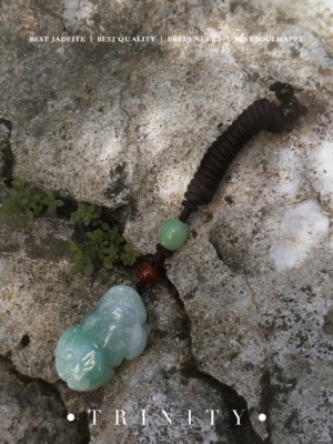 IMG_2027 陽青|祥靈貔貅