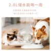 蝸牛造型飲水器(灰色)