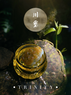 IMG_0515 金岦|玄煌貔貅